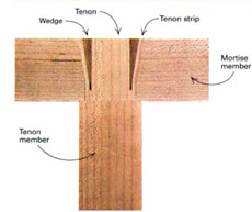 wedged Mortise and Tenon Joint anatomy