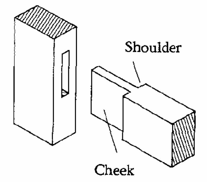 shoulder and cheek diagram