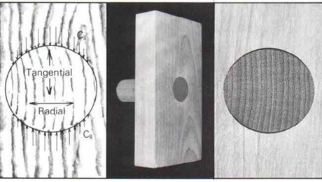 Increased moisture swells the mortise across the grain by about the same amount as the tenon swells radially.