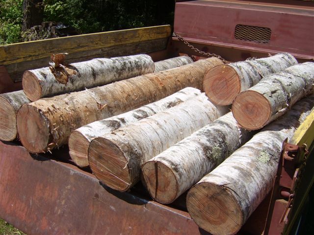 Find High-Grade wholesale birch logs For Lumber and Sawing - .