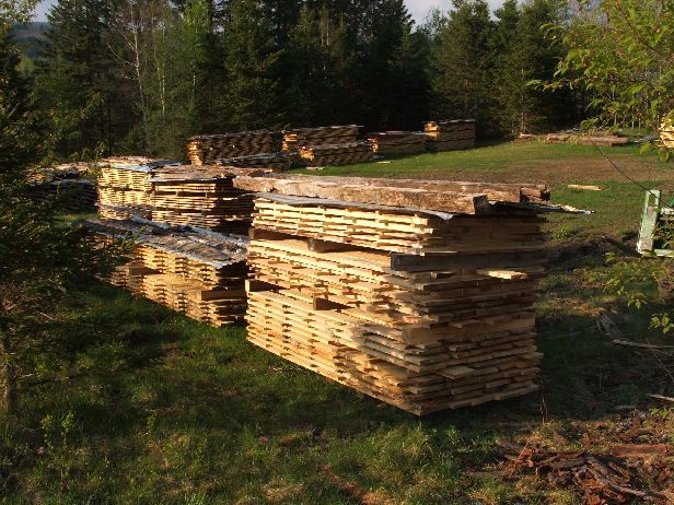 Find High-Grade wholesale birch logs For Lumber and Sawing - .