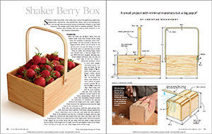 shaker berry box spread