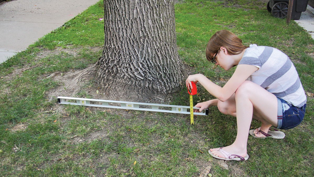 Use a level and a tape measure to measure the ground’s slope around your tree.
