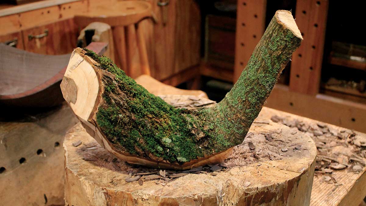 tree branch carved into bird