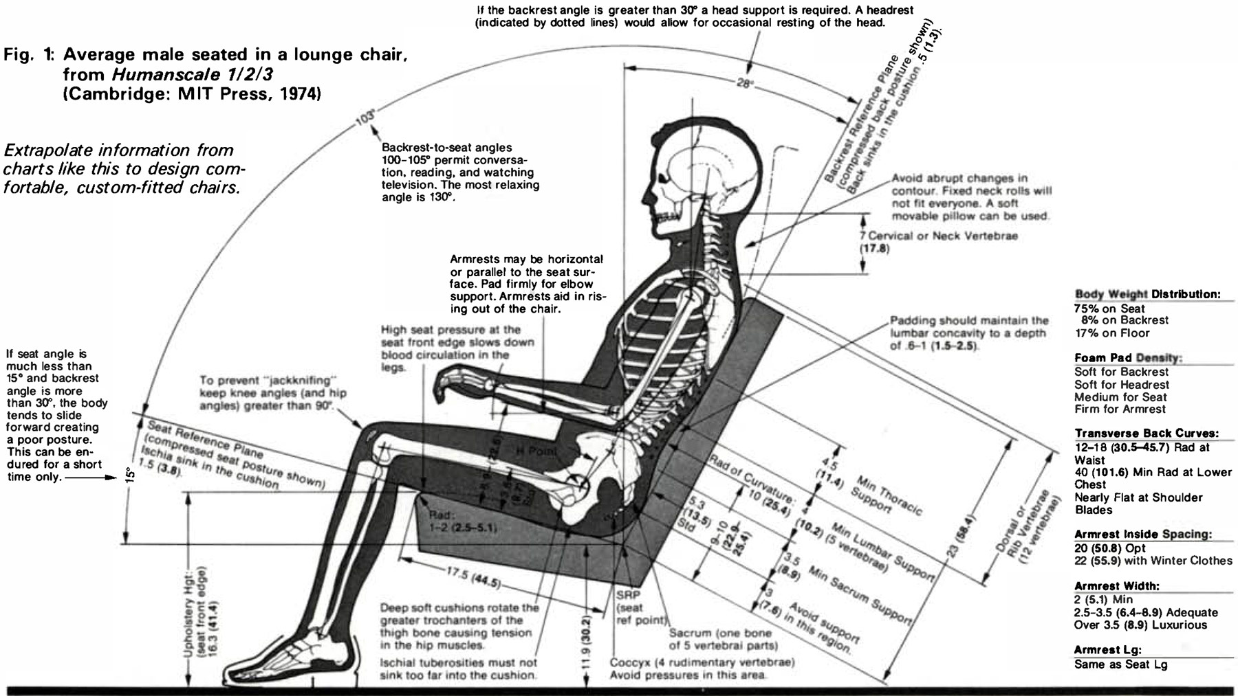 Average Heights / Dimensions of Person Sitting