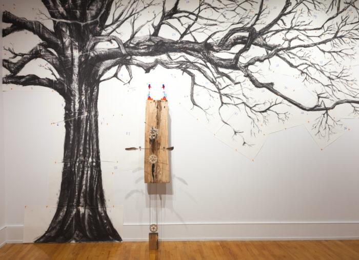 An art instillation featuring wood from the Willow Oak tree, by Martijn van Wagtendonk