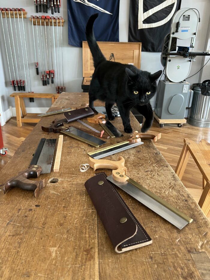 black cat in the wood shop