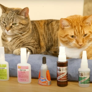 Two cats present six different brands of CA glue.