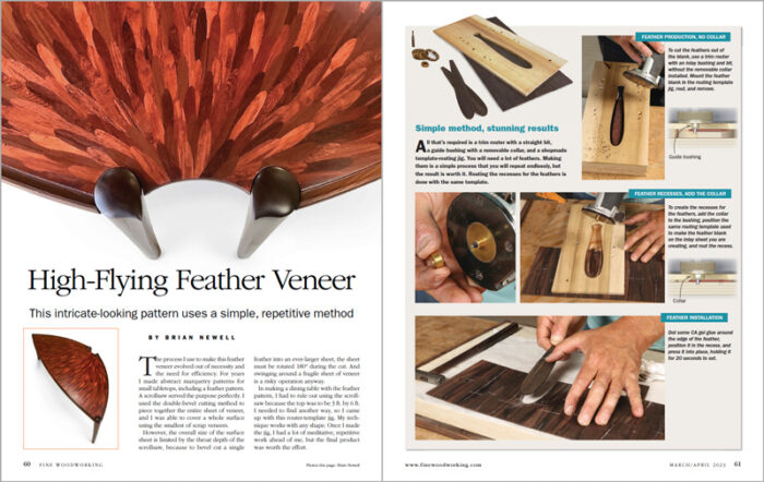 High-Flying Feather Veneer pdf img