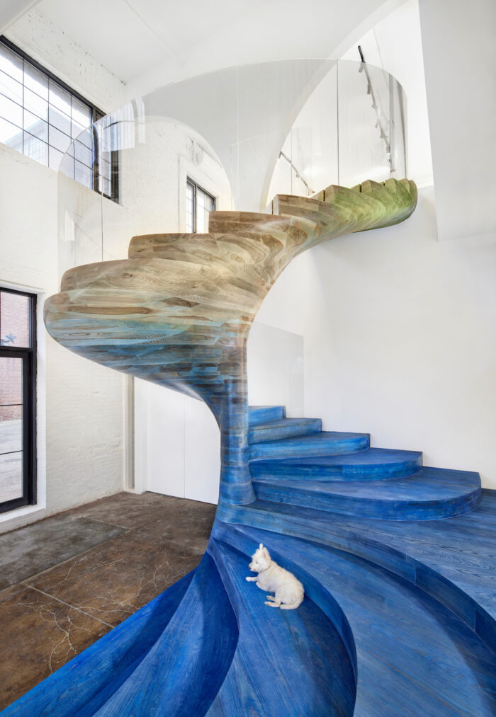 A sprawling, modern spiral staircase made from ash and stained with a blue gradient at Ottra by Zimmerman, Workshop Showroom in Red Hook, Brooklyn. A white dog sits at the base of the stairs.