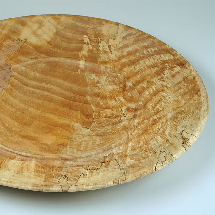 Oregon maple spalted with turkey tail and golden mango fungi