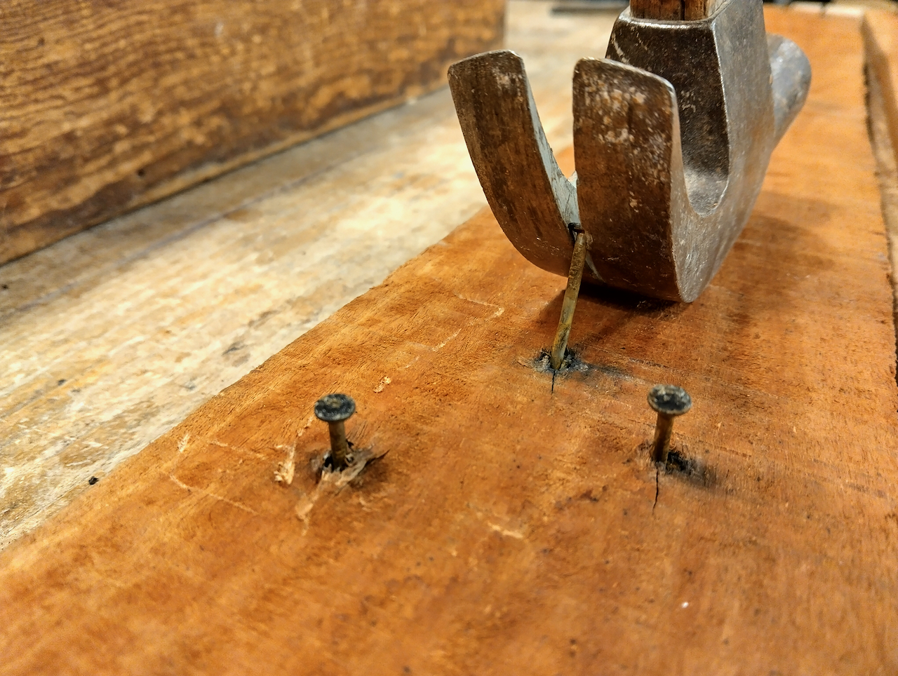 Yoav uses a hammer to pry nails from a reclaimed board.
