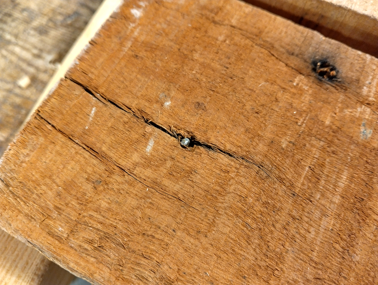 A board with a rusty nail that's been broken off. 